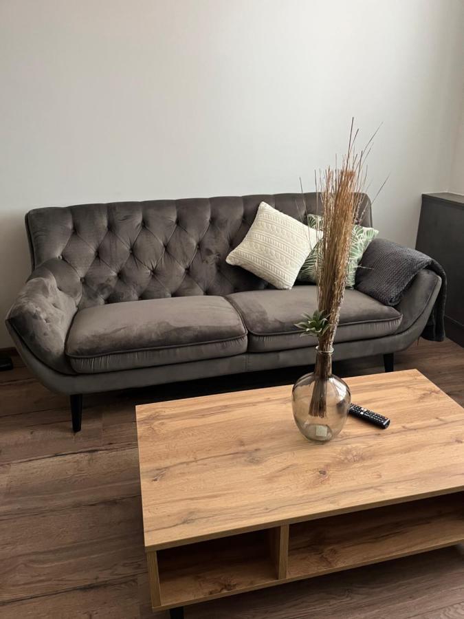 Luxusni Nove Zrekonstruovany Apartman 2Kk - 47M2 - Ostrava Centrum Dış mekan fotoğraf