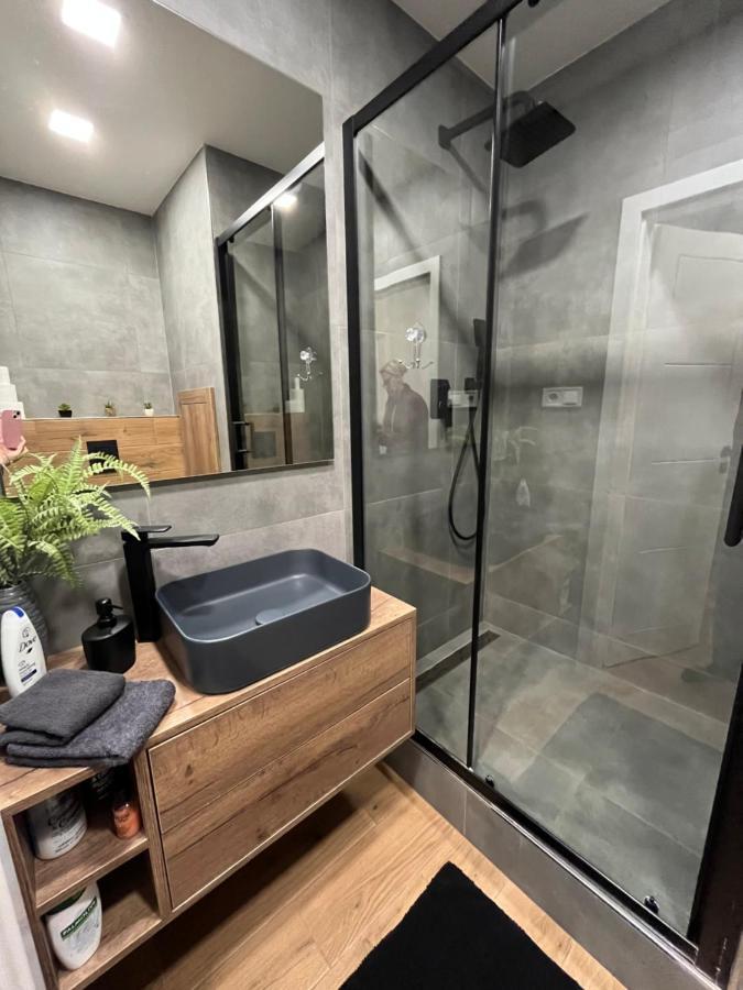 Luxusni Nove Zrekonstruovany Apartman 2Kk - 47M2 - Ostrava Centrum Dış mekan fotoğraf